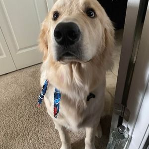 Meet your Posher, Sharon